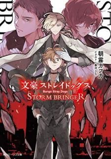 šʸ륹ȥ쥤ɥå STORM BRINGER (ӡʸ)