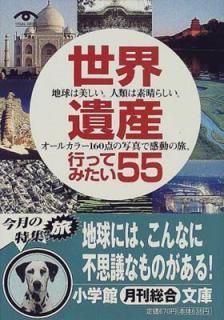 š仺ԤäƤߤ55 (شʸ Y - 22-2 VISUAL SERIES)