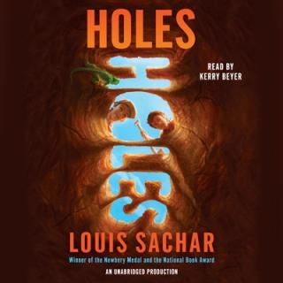 šHoles (Holes Series)