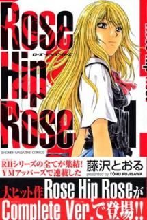 šRose Hip Rose(1) (̼ҥߥå)