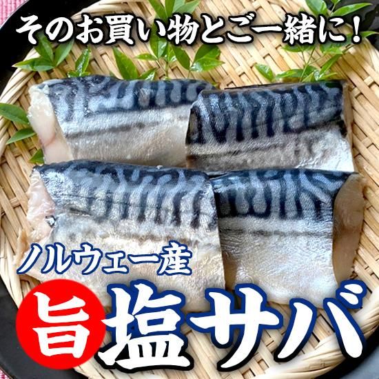 ノルウェー産塩サバ
