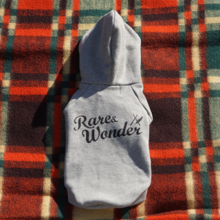 original logo hoodie