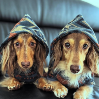 <img class='new_mark_img1' src='https://img.shop-pro.jp/img/new/icons29.gif' style='border:none;display:inline;margin:0px;padding:0px;width:auto;' />Talisman Hoodieʥꥹޥ󡦥աǥ