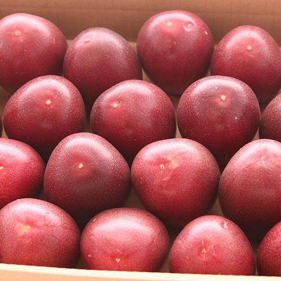 冷蔵】パッションフルーツ2kg(約20~30玉入り・送料無料 冷蔵】パッションフルーツ2kg(約20~30玉入り・送料無料