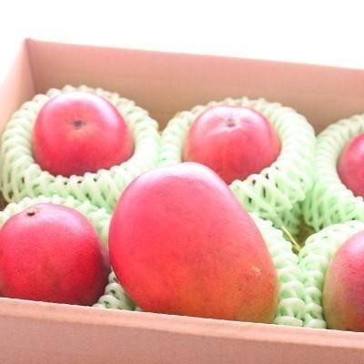 冷蔵】完熟マンゴー(送料無料） - ヘルシーアイランド