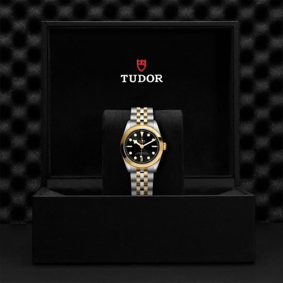 TUDOR ブラックベイ S&G 自動巻き 付属ベルト3本 腕時計 チューダー ブラックベイ 39 S＆G[79663-0001] Black Bay 39 S&G