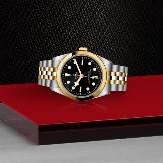 TUDOR BLACK BAY 36 チューダー ブラックベイ 36 チューダー(TUDOR) ブラックベイ 36(BLACK BAY 36) | ブランド