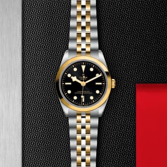 TUDOR BLACK BAY 36 チューダーブラックベイ36 M79640 ブラックベイ ワン 36（M79640-0003） | BLACK BAY ONE | TUDOR