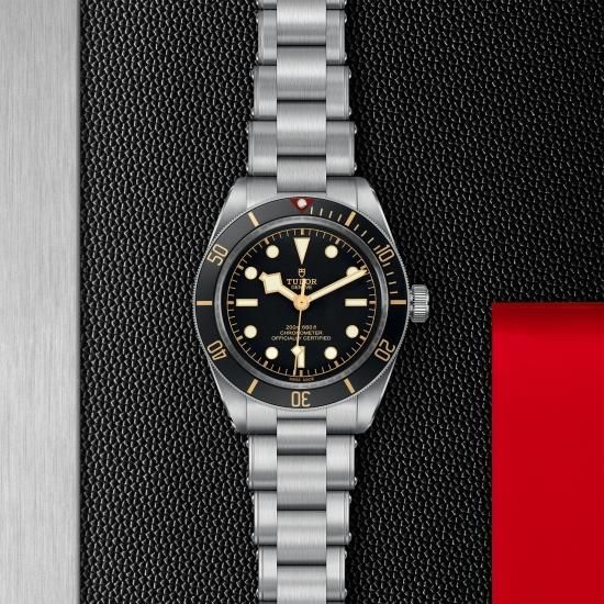 TUDOR チューダー】ブラックベイ58 M79030N-0001 - 安心堂Online