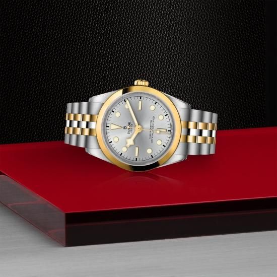TUDOR 自動巻き腕時計 ブラウン文字盤 楽天市場】レザー（ブランドチューダー）（メンズ腕時計｜腕時計