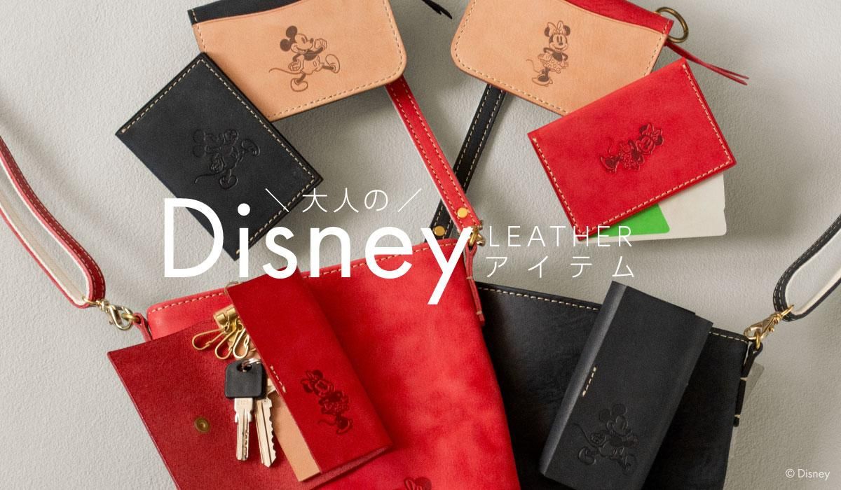 Disneyͤγ׾ʪ_Хʡ_ǥˡ饯_ߥåޥߥˡޥ_եȥåԥ󥰾ޤ