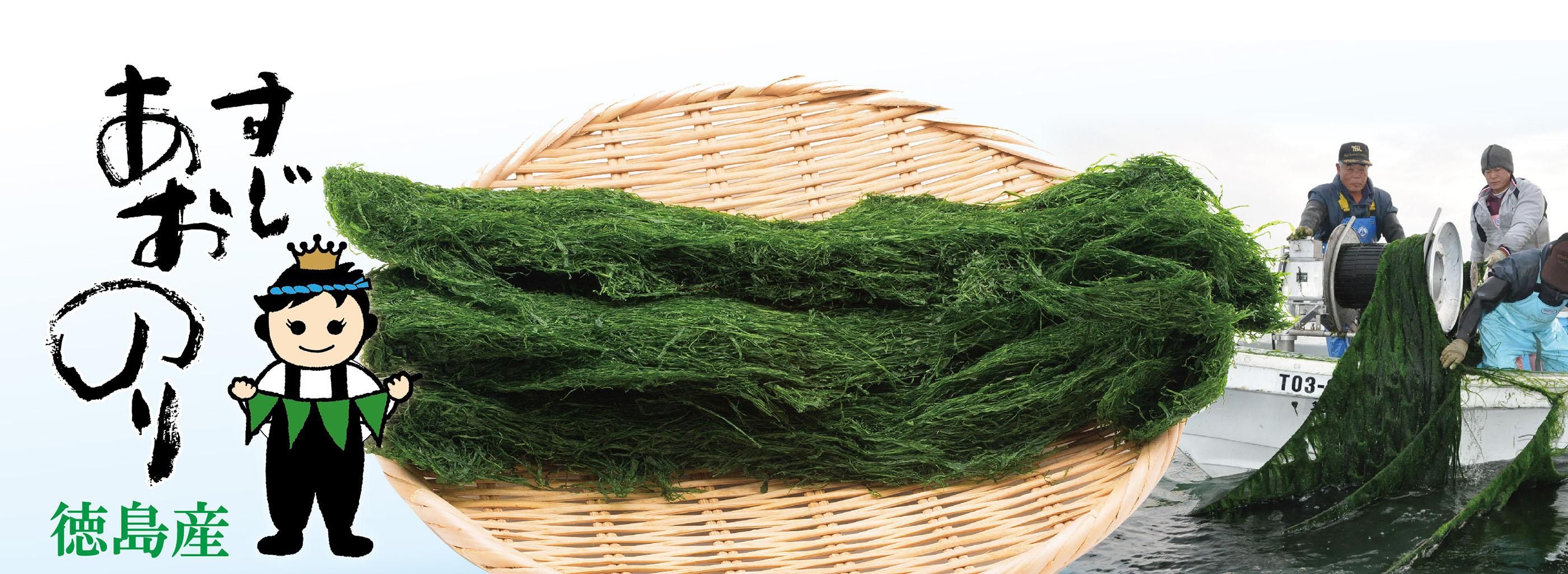鳴門産わかめ すじ青のり のり |JF徳島漁連【公式】 徳島県産ちりめん65g(JF徳島漁連) 冷蔵便