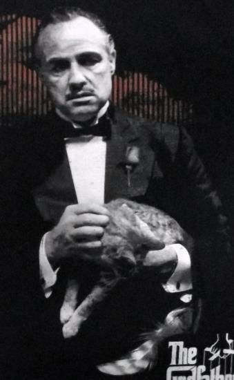 バンドTシャツ,通販,ゴッドファーザー,GODFATHER,Tシャツ,公式 バンドTシャツ,通販,ゴッドファーザー,GODFATHER,Tシャツ,公式