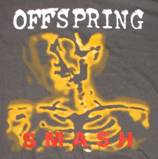 平置きおおよそです正規品/新品 THE OFFSPRING ロングTシャツ