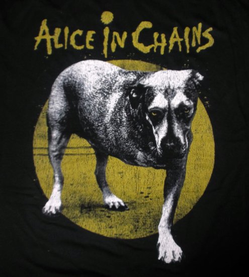 Alice in Chains アリスインチェインズ Tシャツ　nirvanawutangbadb
