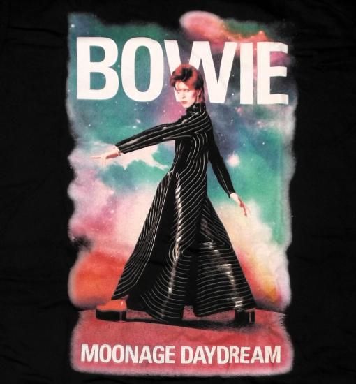 新品A1サイズ☆ DAVID BOWIE デビッドボーイ/インクジェットプリント af-135-thbowie1_4.jpg