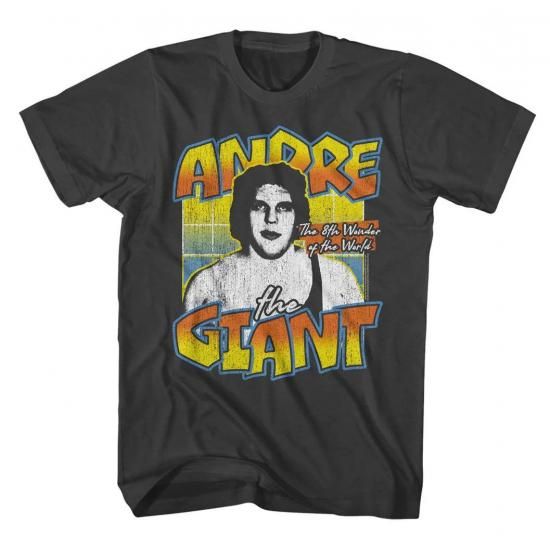 ビンテージ Giant ボディ TOOL バンドTシャツ トゥール ジャイアント