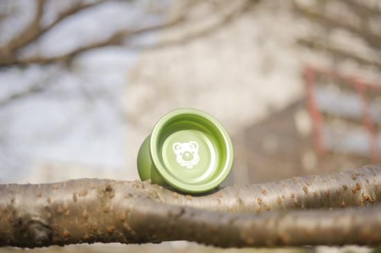 Pentas Campus Leaf - ASAGIDO -Hydrangea Online Store-