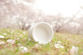 Dahlia CERAKOTE White