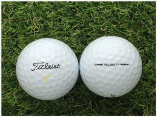 ڥ µ Titleist ȥꥹ VELOCITY 2020ǯǥ ۥ磻 µ ȥܡ  եܡ 1Х