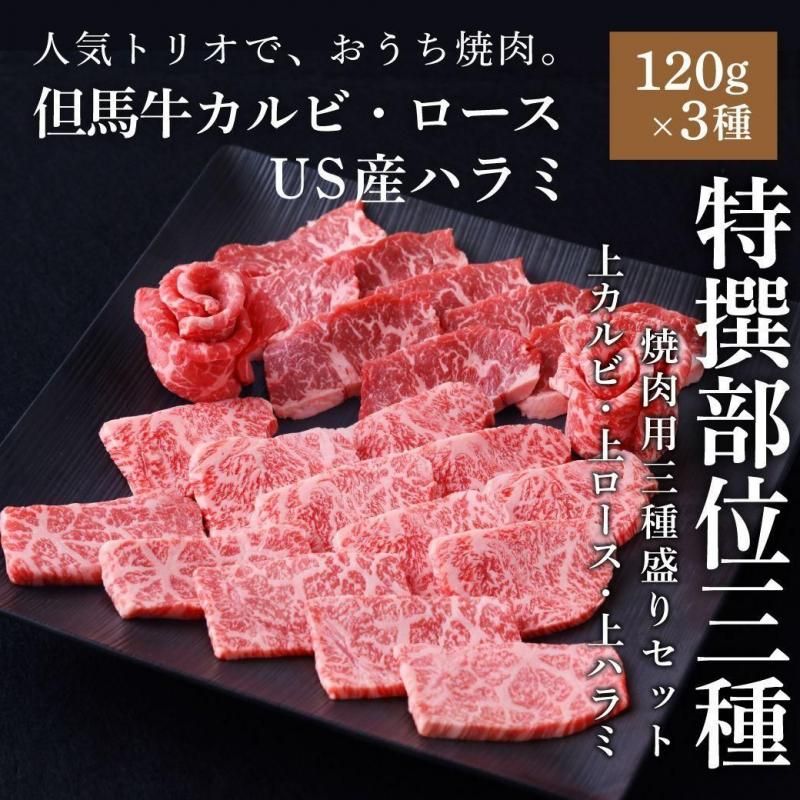 3å 120g3µ奫ӡϥߡµ