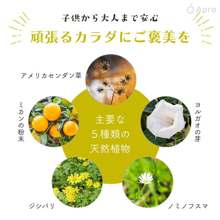 こうりんりんさん専用ページ ゼクストリーム 2025 SUMMER: ：【公式】ブロッコリーグッズの