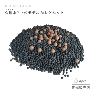 ̥ǥױ®     Ark-X  