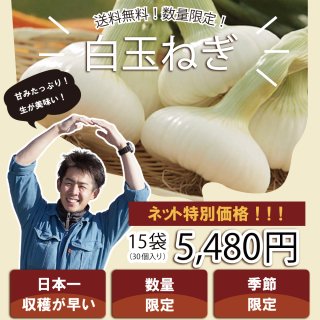 【浜松篠原産】白たまねぎ　葉付き2個入り15袋　贈答用　送料無料