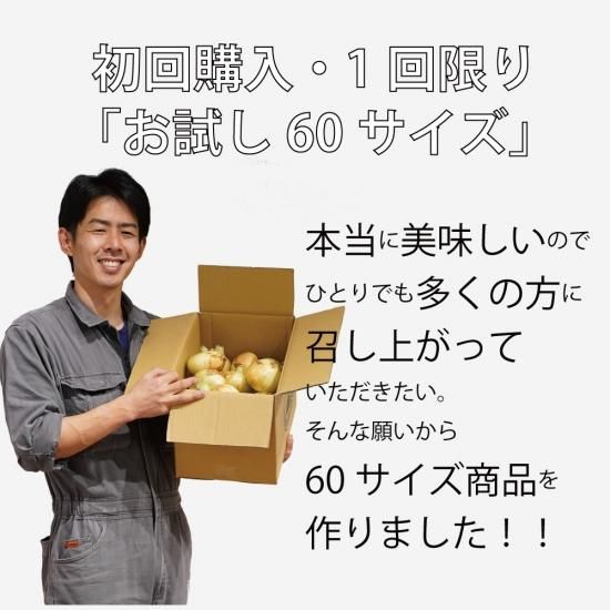 浜松篠原産】黄たまねぎ お試し60サイズ 自宅用 送料無料 初回