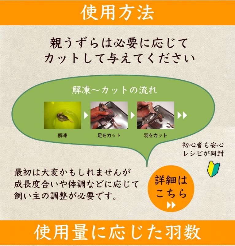 冷凍ウズラ販売｜未処理・安い通販】176円｜ヘビ・フクロウ