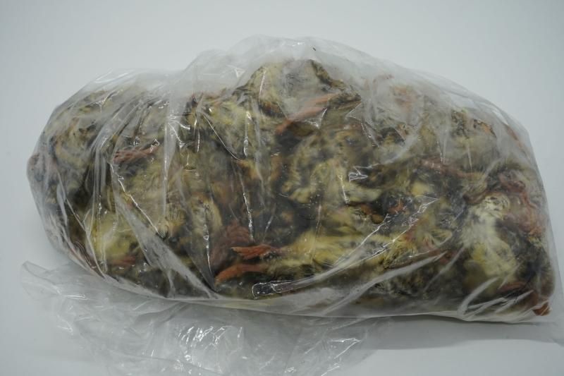 冷凍ヒナウズラ 500g - ふくろうの餌専門店「ホーホー」