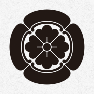 800px-