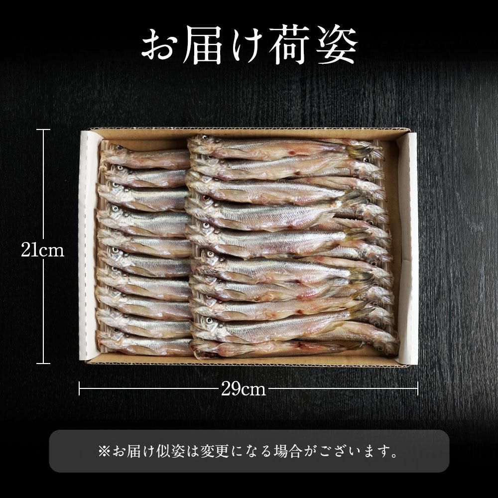 北海道産ししゃも 北の海鮮炙り ノアの箱舟 北海道産ししゃも 北の海鮮炙り ノアの箱舟