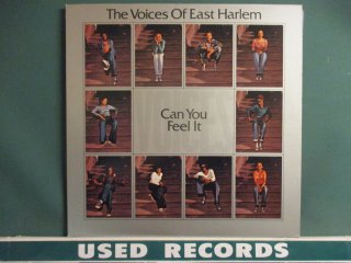 Voices Of East Harlem  Can You Feel It LP  (( 70's Funky SoulYoung Funk !!! 