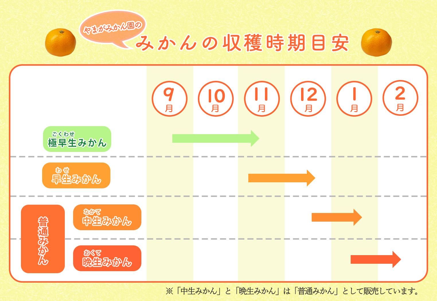 有田みかん収穫目安