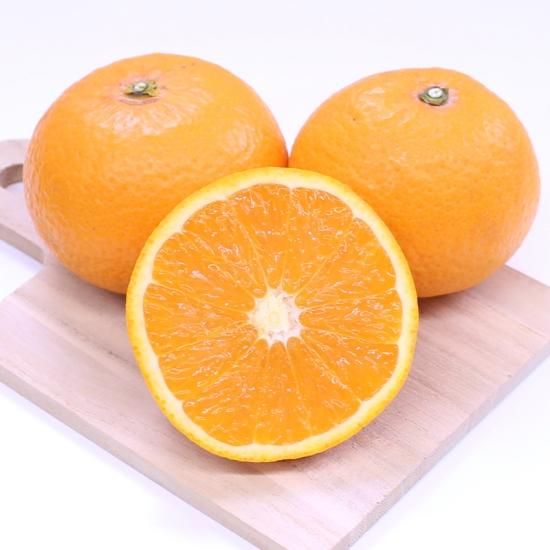 贈答用】 和歌山県産 清見オレンジ 5kg | 有田みかん 和歌直
