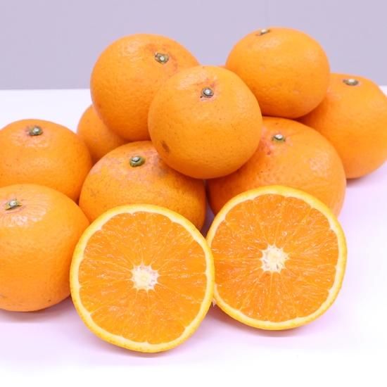 家庭用】 和歌山県産 清見オレンジ 5kg | 有田みかん 和歌直