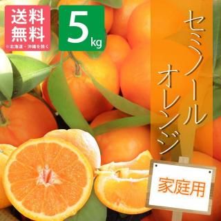 家庭用】 和歌山県産 不知火 5kg デコポン同品種 | 有田みかん