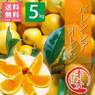 £ѡ²λ Х󥷥5kg 缡в ̵(̳ƻ)