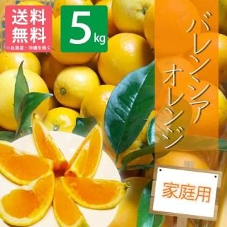 家庭用】 和歌山県産 不知火 5kg デコポン同品種 | 有田みかん