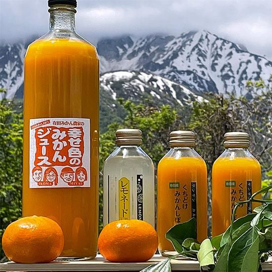 みかん 果汁グミ温州みかん 54g ｜ ミスターマックスオンラインストア