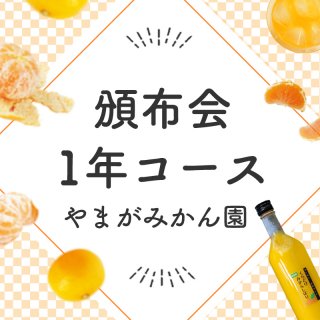 やまがみかん園満喫　旬の柑橘有田みかん頒布会1年コース