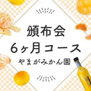 やまがみかん園満喫　旬の柑橘有田みかん頒布会6ヶ月コース