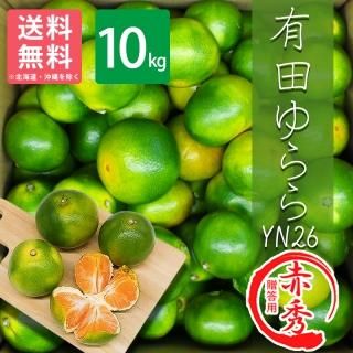 有田みかん 極早生みかん | 有田みかん通販・産地直送・お 有田みかん 極早生みかん | 有田みかん通販・産地直送・お