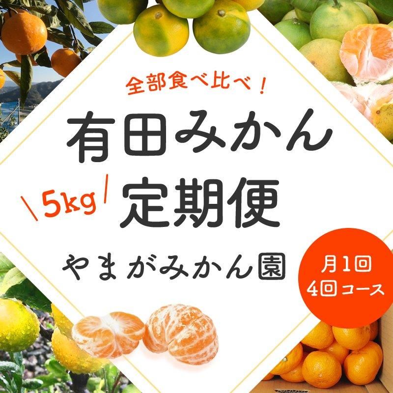 みかん頒布会】全部食べ比べ！有田みかん5kg 定期便 月1回／4回コース