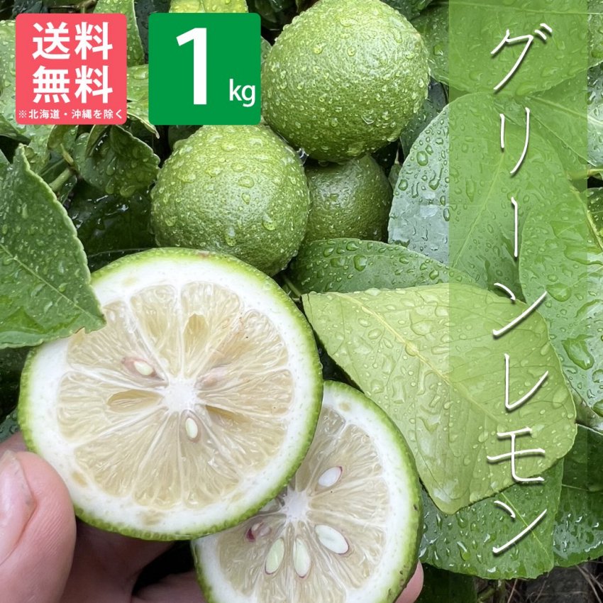 和歌山県有田市産 グリーンレモン 1kg | 有田みかん 和歌直（わかちょく）