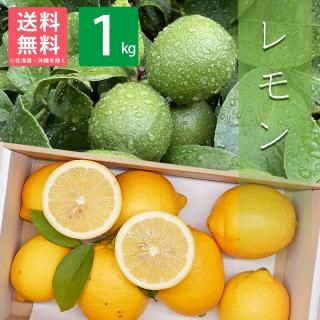 2025ǯ ²λ  1kg ̵(̳ƻ)