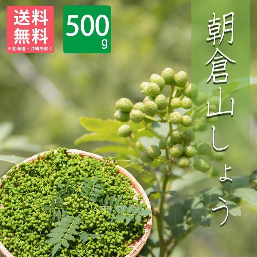 和歌山県産 朝倉山椒 実山椒（生） 500g | 有田みかん 和歌直