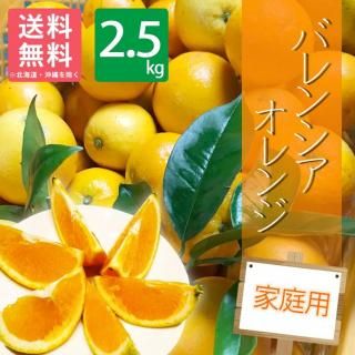 和歌山県産有田のセミノールオレンジ | 有田みかん通販・産地