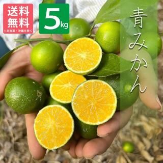 贈答用】 和歌山県産 木成り八朔 5kg | 有田みかん 和歌直（わか